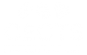 Logo CECTS Footer